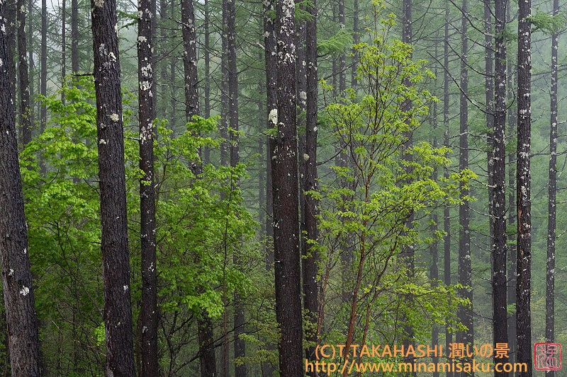 ../Images/7R250517 (63).jpg